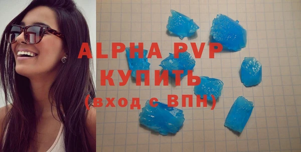 стафф Каменногорск