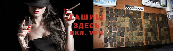 стафф Каменногорск