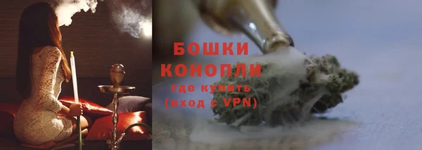 ALPHA PVP Каменка