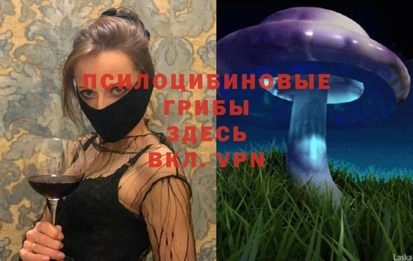 стафф Каменногорск