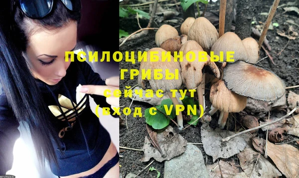 ALPHA PVP Каменка