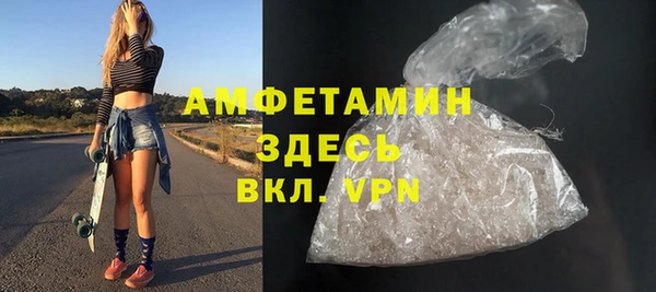 ALPHA PVP Каменка