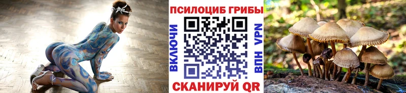 Купить где  Бодайбо  Псилоцибиновые грибы мухоморы 